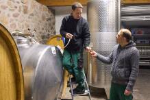 Junge Weinbaubetriebe setzen neue Schwerpunkte
