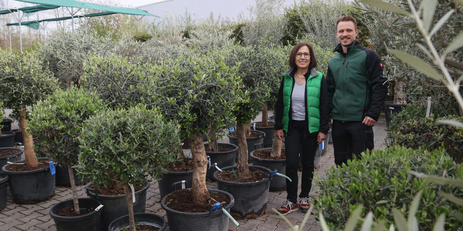 Moritz Kießling und seine Mutter Simone mit den frisch eingetroffenen Olivenbäumen, die in jedem Garten für mediterranes Flair sorgen. Moritz Kießling und seine Mutter Simone mit den frisch eingetroffenen Olivenbäumen, die in jedem Garten für mediterranes Flair sorgen.