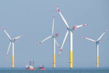 Studie: Windparks verdrängen Seetaucher
