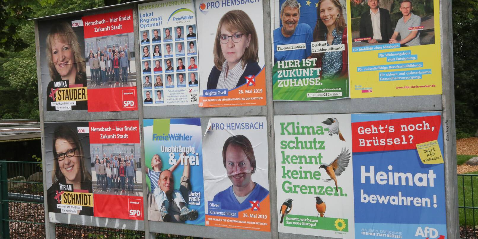 Bei den Kommunalwahlen 2019 (Archivbild) kandidierte die AfD für den Kreistag, war bei den Gemeinderatswahlen in Weinheim, Hemsbach, Hirschberg und Laudenbach aber nicht am Start.