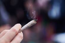 Rhein kündigt konsequente Kontrollen bei Cannabis-Konsum an
