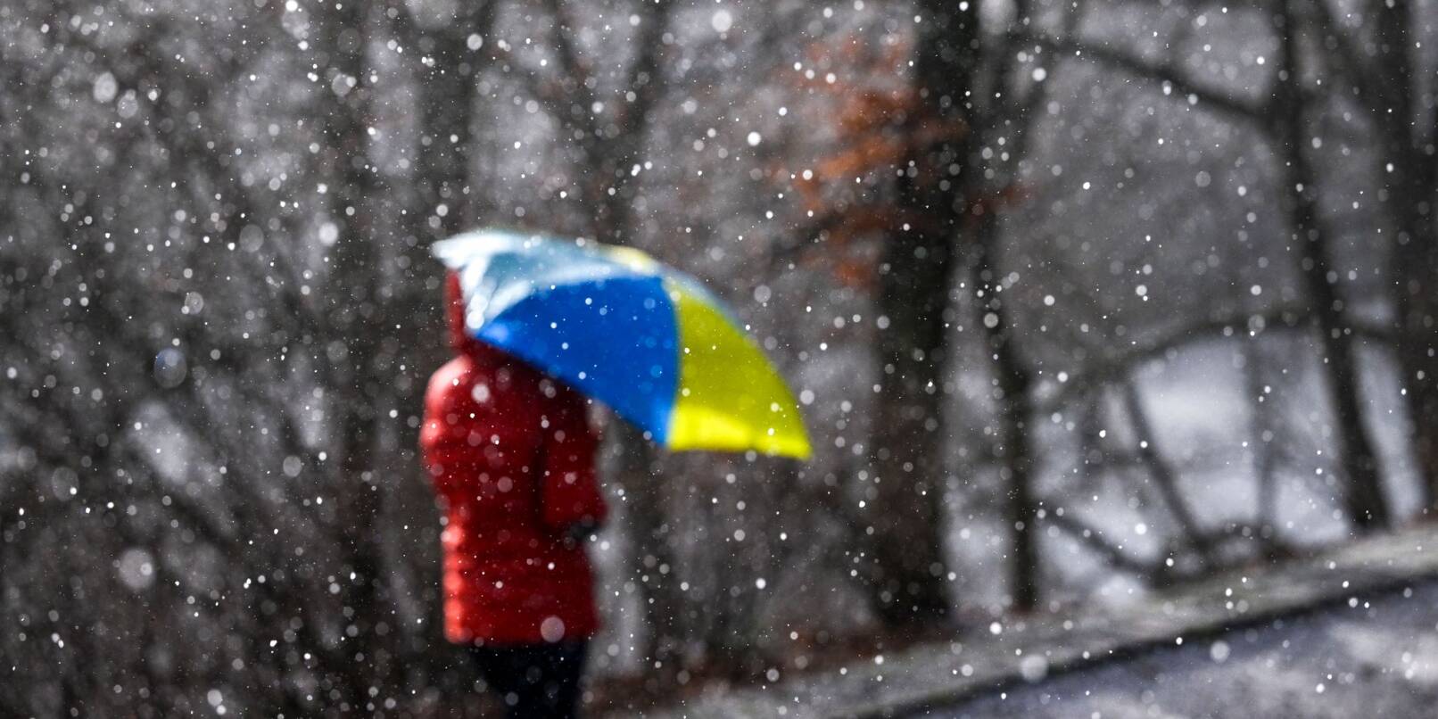 Eine Spaziergängerin geht mit einem Regenschirm spazieren.
