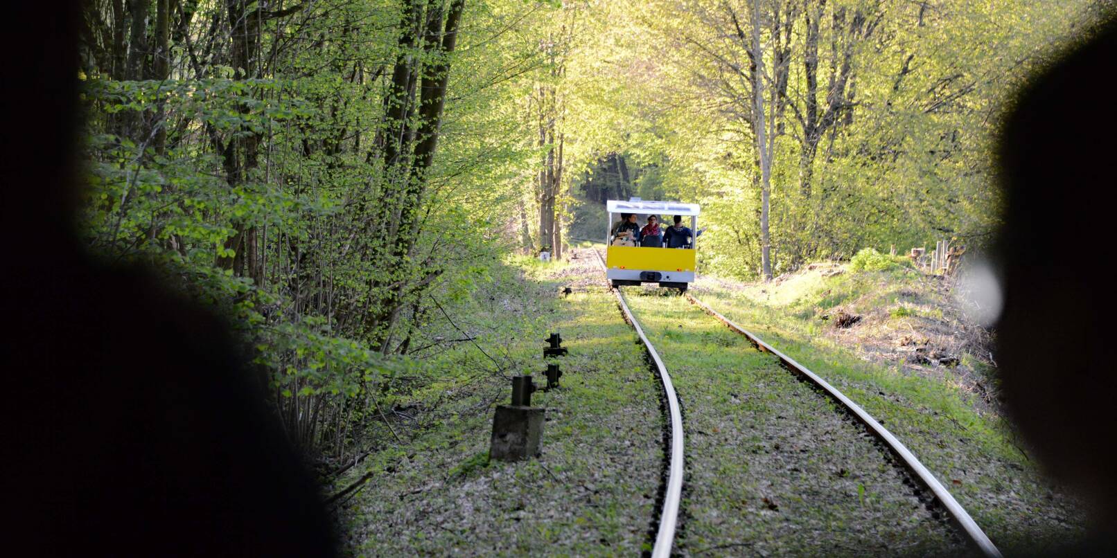 Auch bei Regen schön: Mit der Solardraisine über eine der schönsten denkmalgeschützen Eisenbahnstrecken Europas zwischen Mörlenbach und Wald-Michelbach.