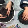 DIY mit Kindern: Seedbombs selber machen
