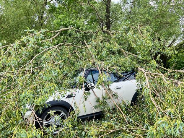 Stürmischer Montag: Baum stürzt in Laudenbach auf ein Auto 