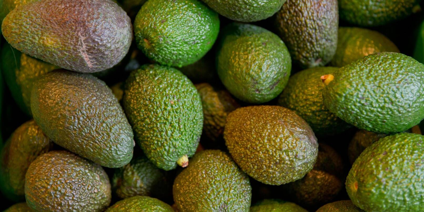 Bio-Avocados liegen in einer Kiste in einem Biosupermarkt.