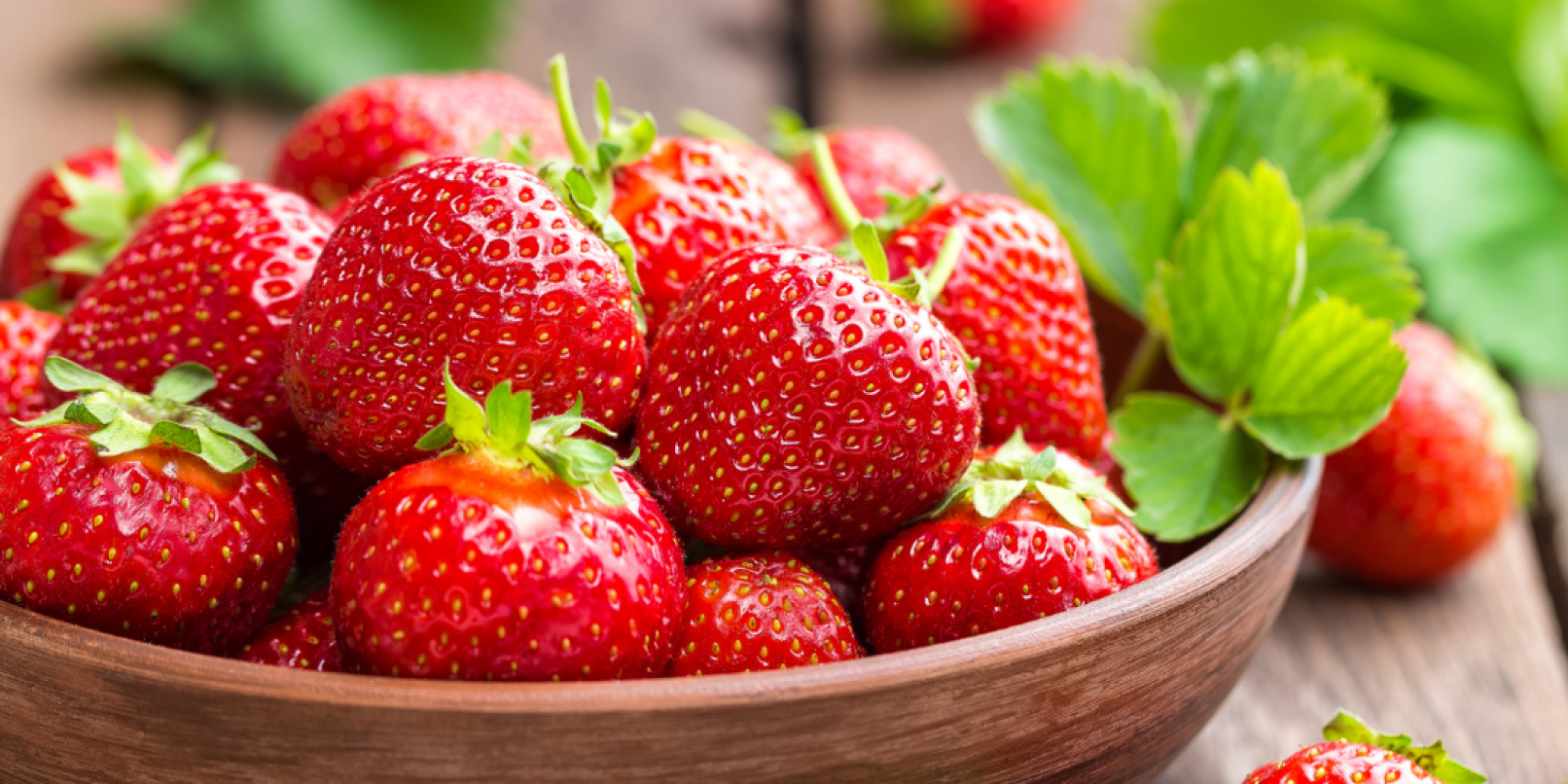 Wieder vergleichsweise früh konnten die Bauern schon der Ernte der Früchte anfangen und bieten jetzt bereits die ersten Erdbeeren aus der heimischen Region an.