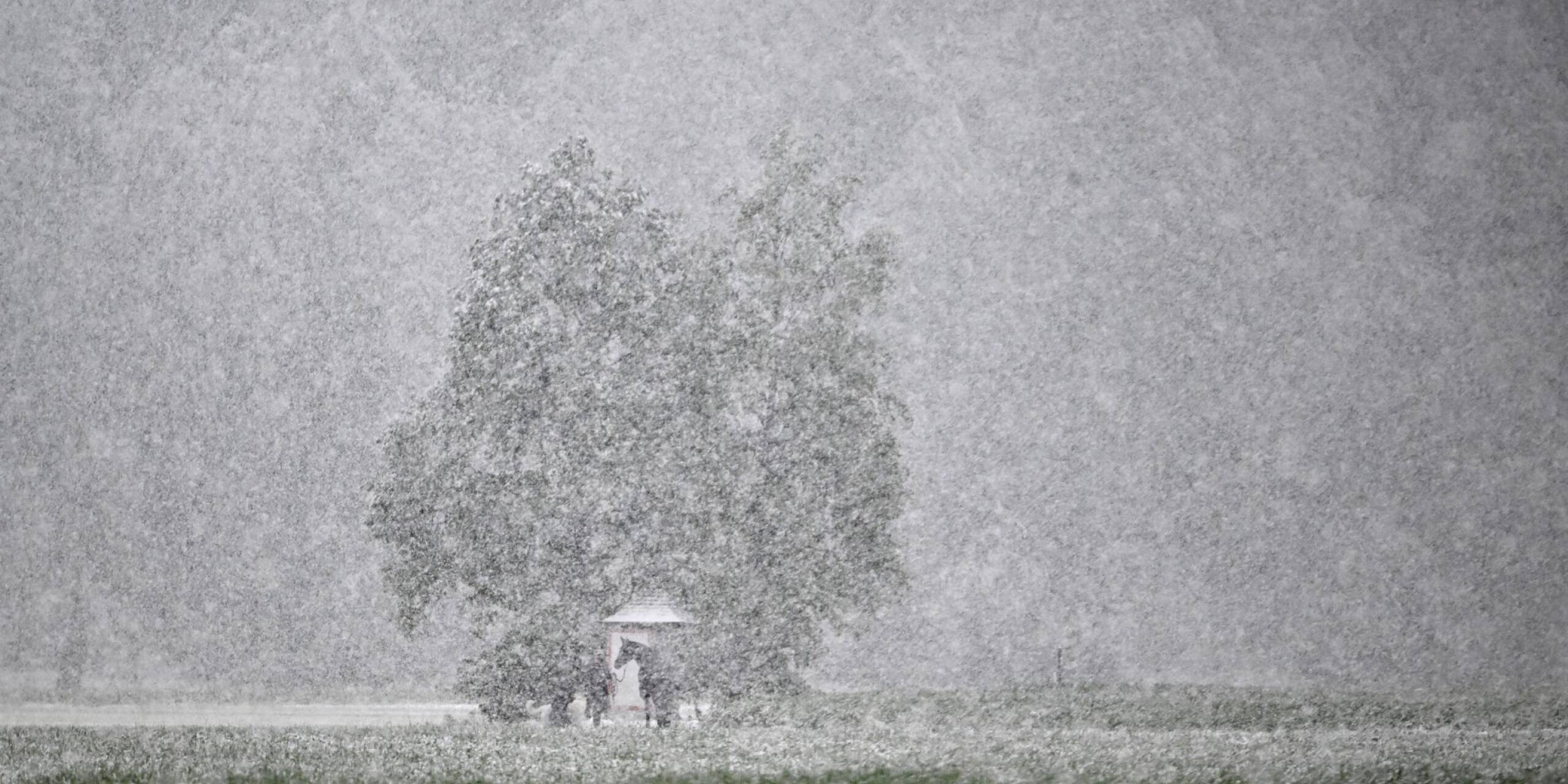 Der Winter ist zurück - auch in Österreich. Ein Reiter und sein Pferd sind bei dichtem Schneefall nur schemenhaft zu erkennen.