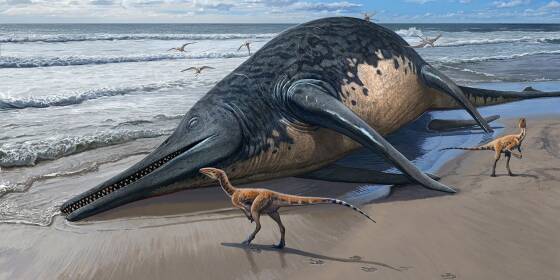 Mehr als 25 Meter: Im Meer lebte einst ein gewaltiges Reptil
