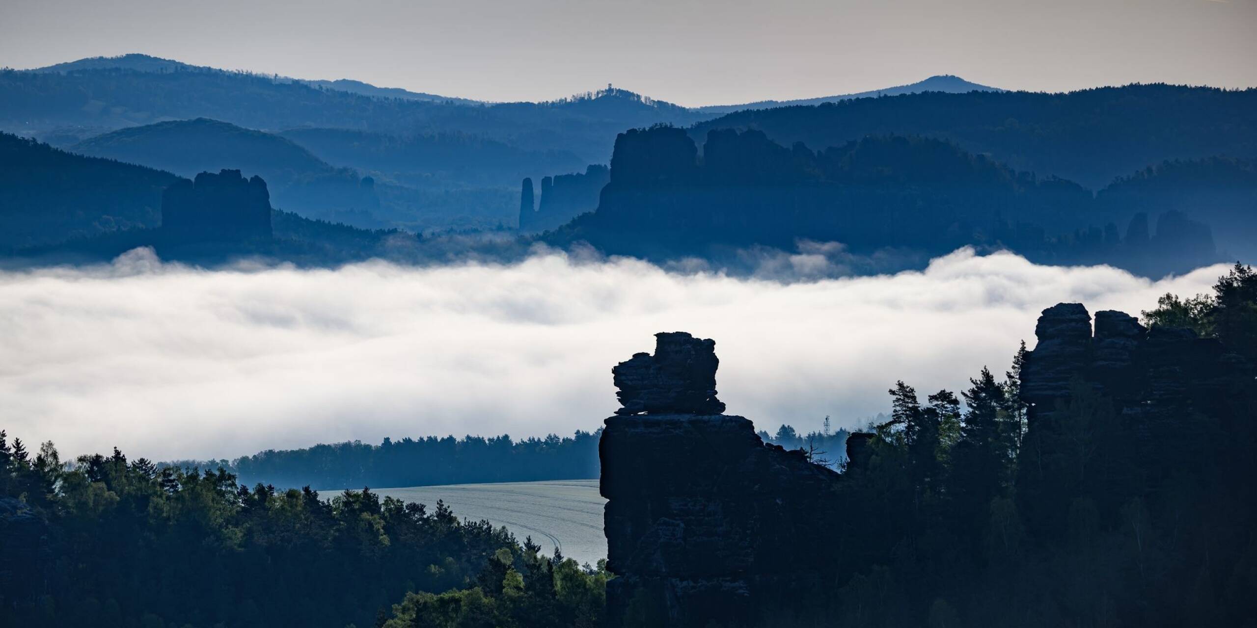 Nebel zieht am Morgen durch die Sächsische Schweiz bei Gohrisch.