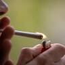 Suchtbericht: Problematischer Cannabis-Konsum hat zugenommen
