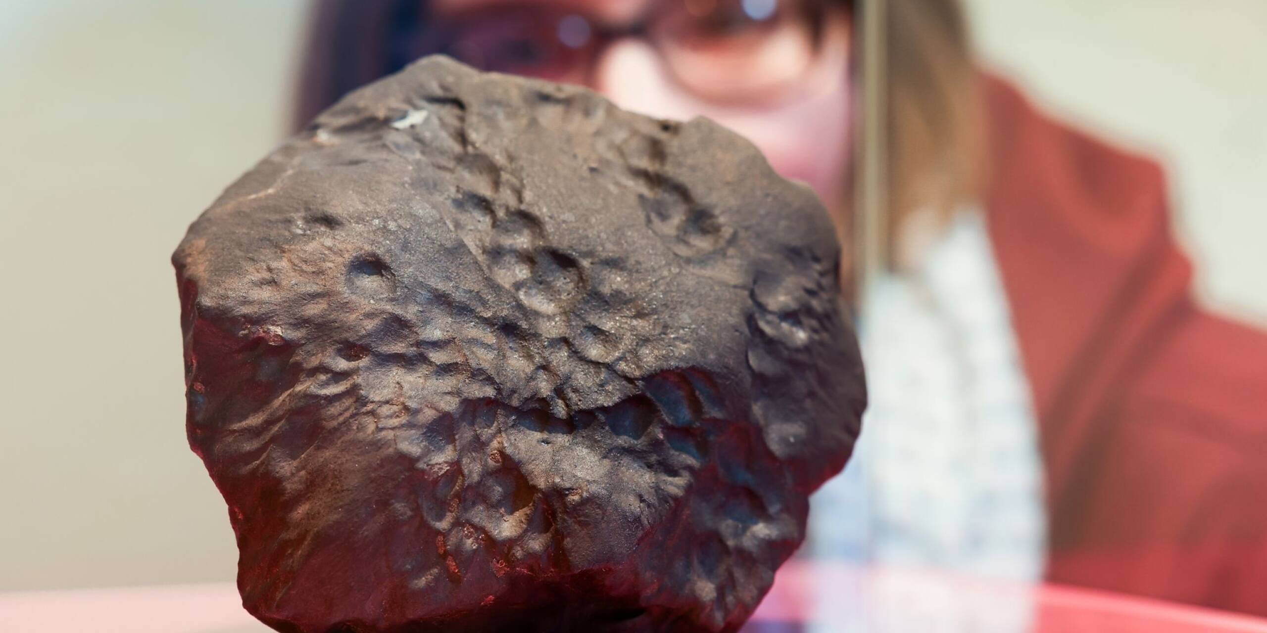 Am 25. April 2023 stürzte ein Meteorit in Elmshorn bei Hamburg vom Himmel. Genau ein Jahr später wird dieses historisch und wissenschaftlich einzigartige Stück im Museum der Natur Hamburg präsentiert.