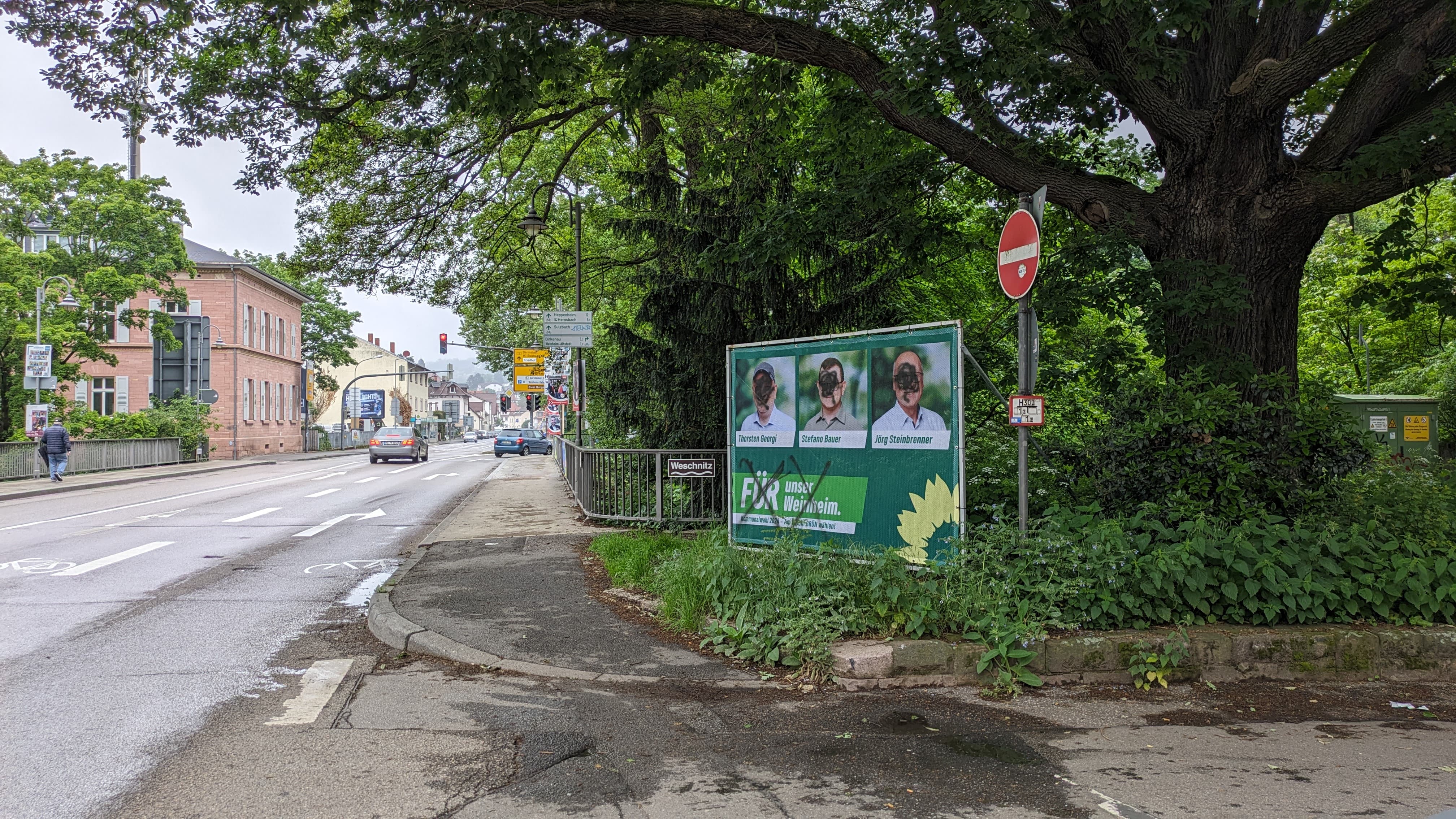 Weinheimer Grüne: Wahlplakate zerstört
