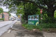 Weinheimer Grüne: Wahlplakate zerstört
