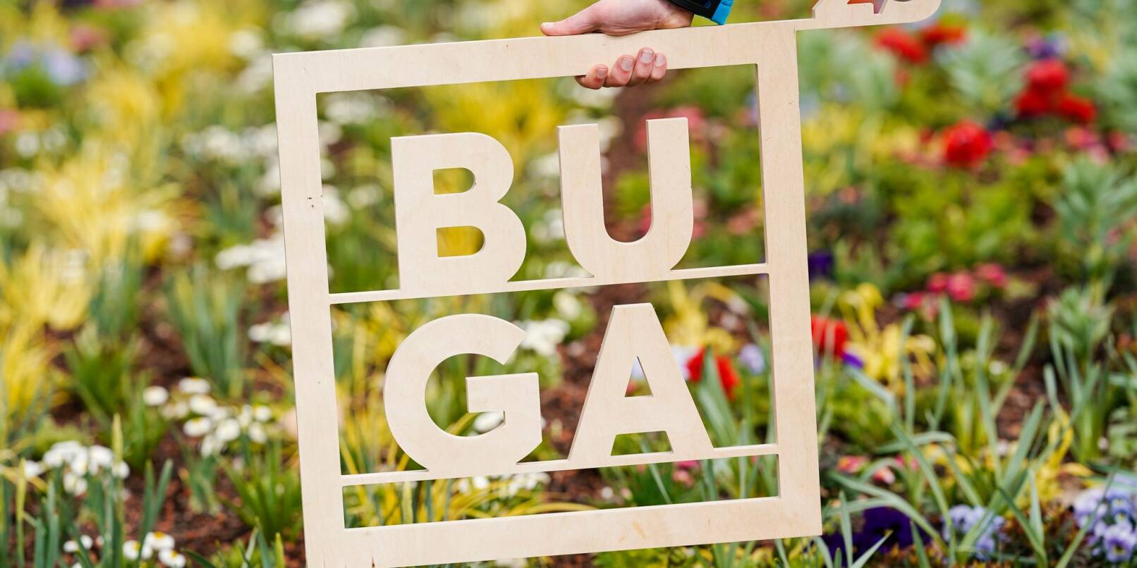Eine Hand hält vor einem Blumenbeet einen Holzrahmen mit der Aufschrift „BUGA 23“ auf dem Gelände der Bundesgartenschau.