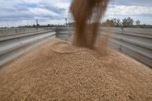 EU sieht Importverbote für ukrainisches Getreide kritisch
