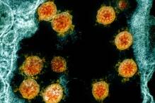 WHO beobachtet Coronavirusvariante XBB.1.16
