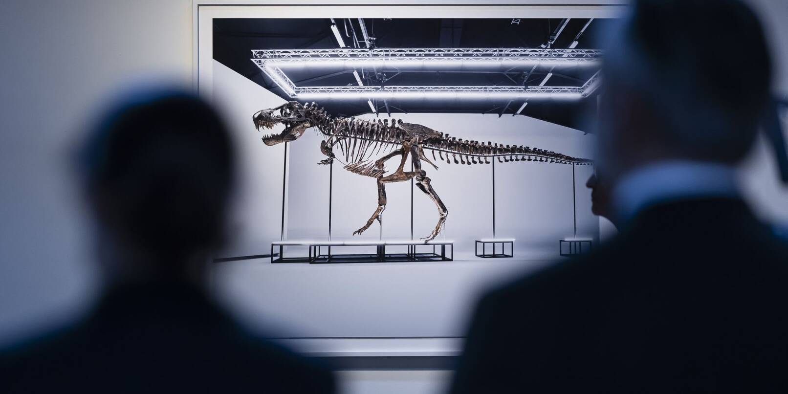 Besucher betrachten das T. rex-Skelett in Zürich.