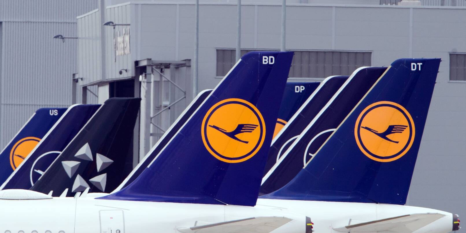 Flugzeuge der Fluggesellschaft Lufthansa stehen am Rand eines Rollfeldes nebeneinander.