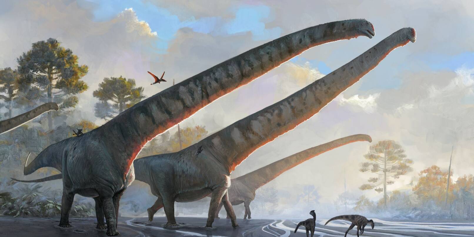 Die undatierte Illustration des Natural History Museums zeigt «Mamenchisaurus sinocanadorums».