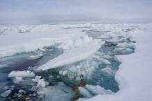 Arktische Algen stark mit Mikroplastik belastet
