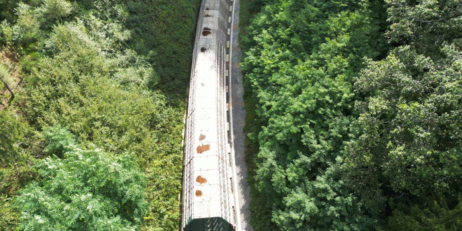 Die Hermann-Hesse-Bahn bei Calw ist ein jüngeres Beispiel für die Reaktivierung alter Bahntrassen. (Archivfoto) Die Hermann-Hesse-Bahn bei Calw ist ein jüngeres Beispiel für die Reaktivierung alter Bahntrassen. (Archivfoto)