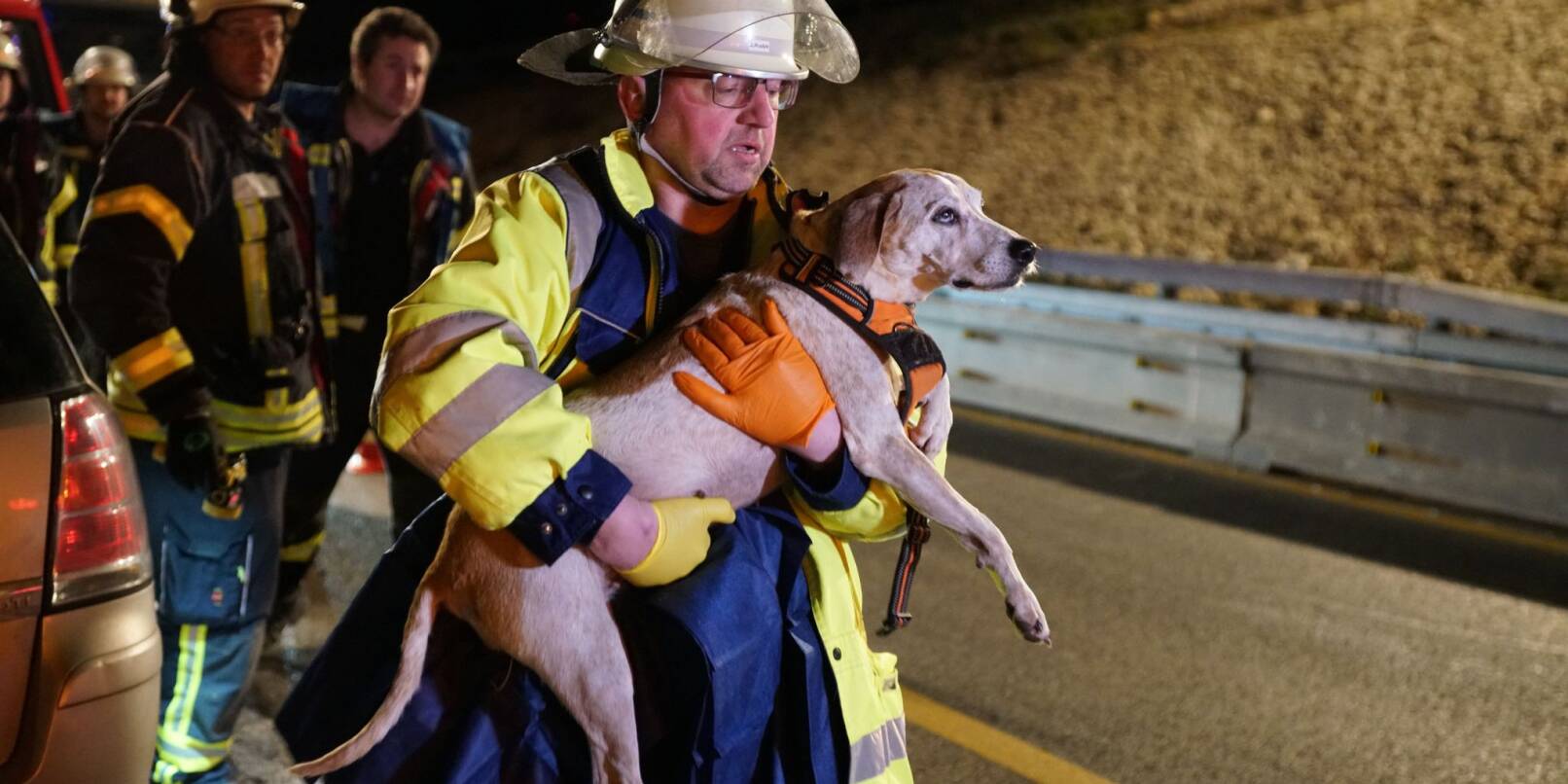 Ein Retter trägt einen Hund nach einem Unfall auf der A8.