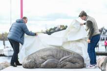 Denkmal für eingeschläfertes Walross Freya in Oslo enthüllt
