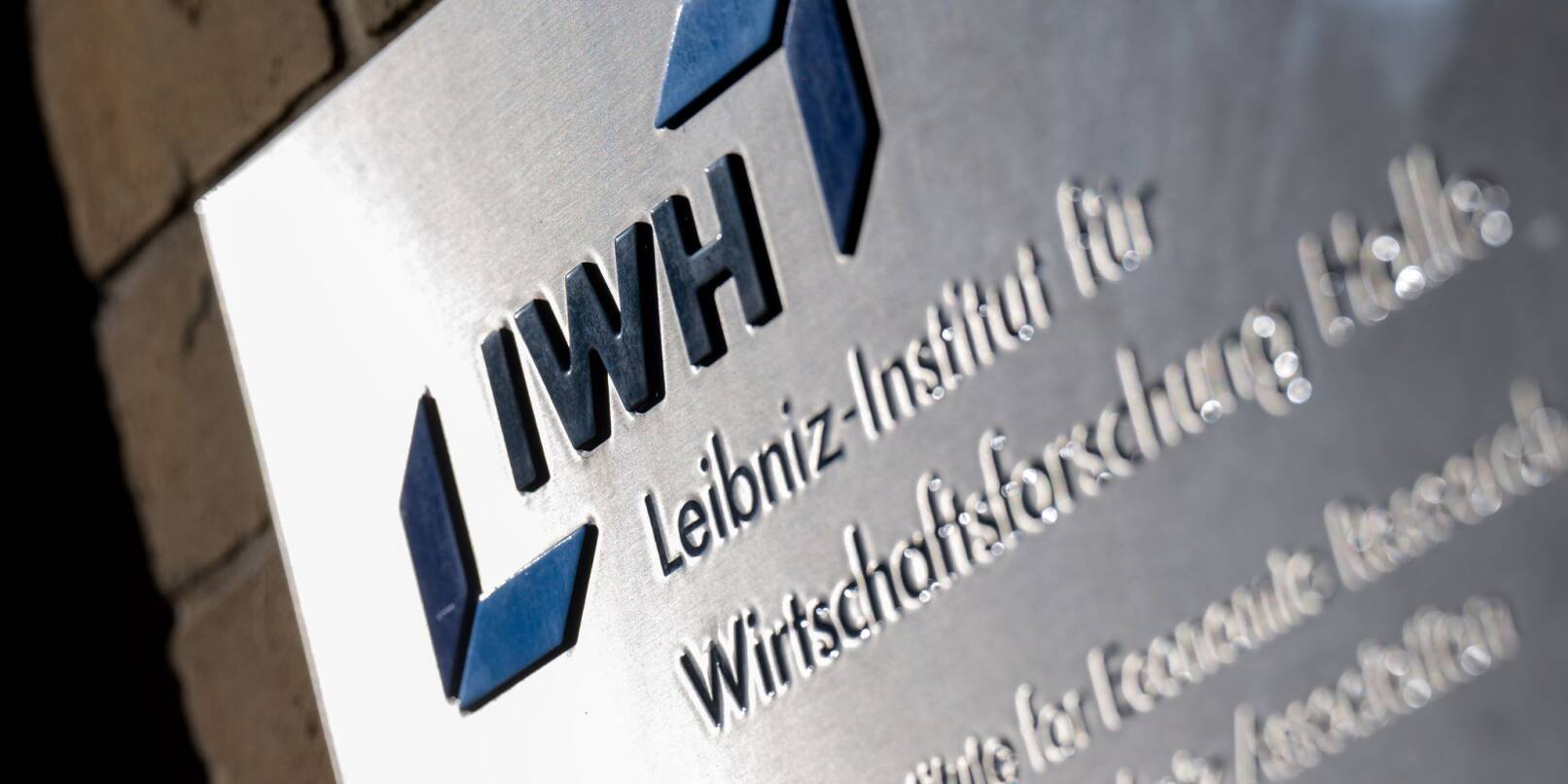 Das Institut IWH wertet monatlich Insolvenzbekanntmachungen aus und verknüpft sie mit Bilanzdaten der Unternehmen. Das Institut IWH wertet monatlich Insolvenzbekanntmachungen aus und verknüpft sie mit Bilanzdaten der Unternehmen.