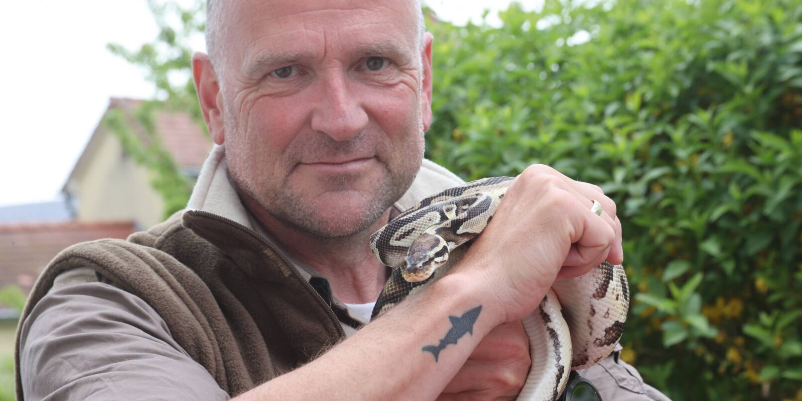 Der Großsachsener Gert Wagenbach hält hobbymäßig Schlangen. Daher ist der Polizeioberkommissar beim Polizeipräsidium Darmstadt Experte für diese Reptilien. Bei Funden wird er zu Hilfe gerufen. Der Großsachsener Gert Wagenbach hält hobbymäßig Schlangen. Daher ist der Polizeioberkommissar beim Polizeipräsidium Darmstadt Experte für diese Reptilien. Bei Funden wird er zu Hilfe gerufen.