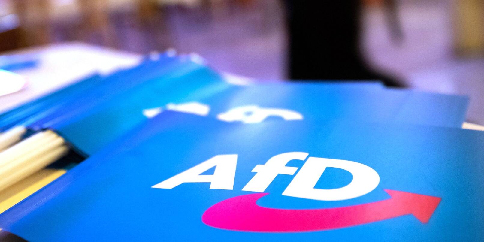 Der Umgang mit der AfD soll auch Thema bei der Innenministerkonferenz im Juni sein. (Symbolbild) Der Umgang mit der AfD soll auch Thema bei der Innenministerkonferenz im Juni sein. (Symbolbild)