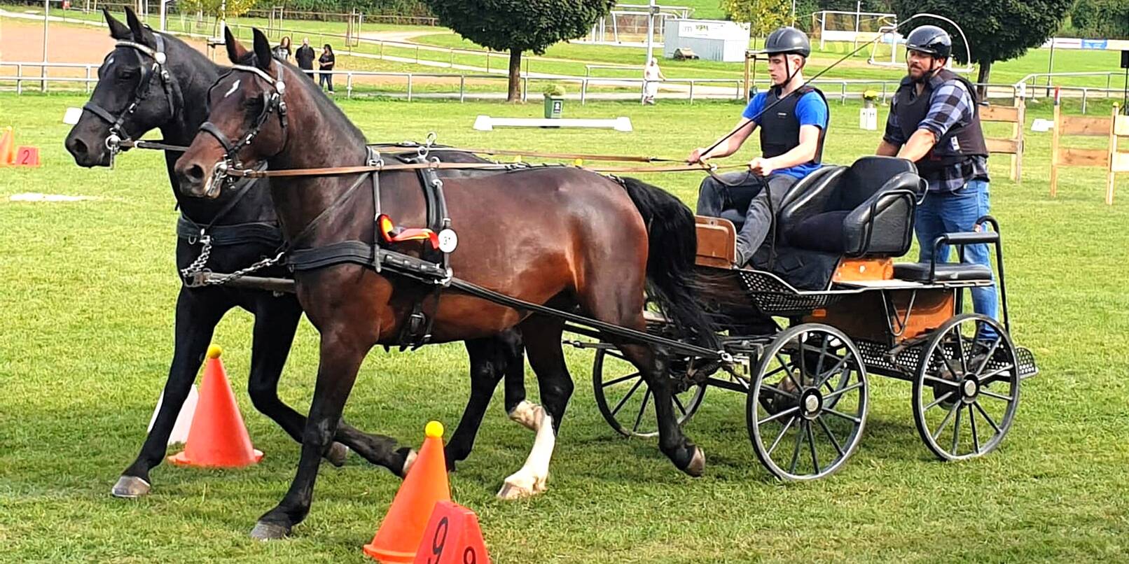 Die Gespanne mit Ponys und Großpferden fahren ab 10 Uhr, die Dressuren starten ab 13 Uhr. Die Gespanne mit Ponys und Großpferden fahren ab 10 Uhr, die Dressuren starten ab 13 Uhr.