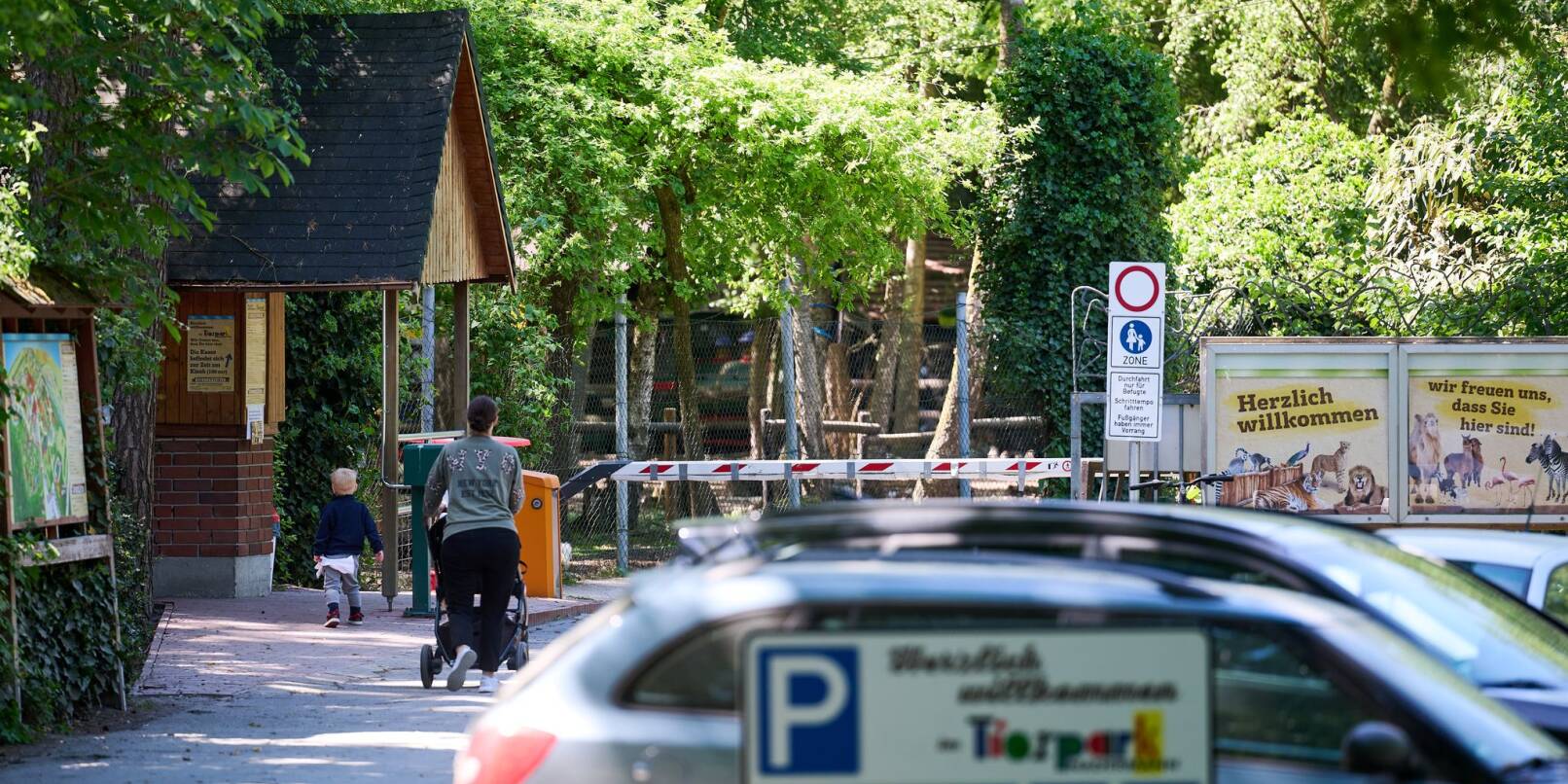 Der Eingang und Parkplatz zum Tierpark Nadermann im ostwestfälischen Delbrück. Hier hatte am Morgen ein Tiger eine Mitarbeiterin gebissen und verletzt. Der Eingang und Parkplatz zum Tierpark Nadermann im ostwestfälischen Delbrück. Hier hatte am Morgen ein Tiger eine Mitarbeiterin gebissen und verletzt.