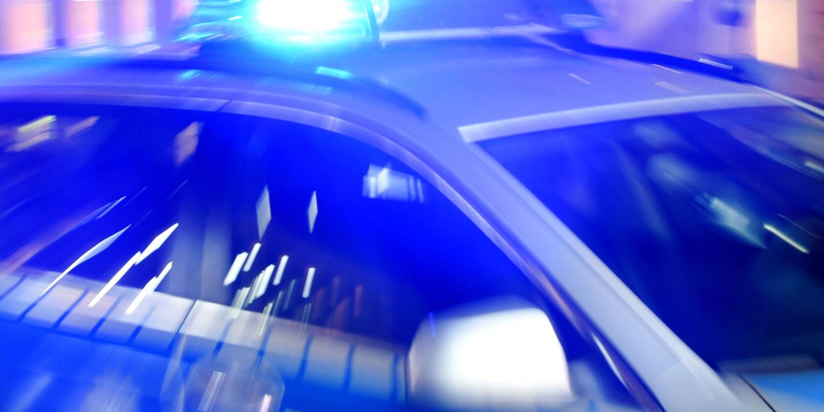 Eine Kuh ist nach einem Unfall bei Biberach verendet. (Symbolbild) Eine Kuh ist nach einem Unfall bei Biberach verendet. (Symbolbild)