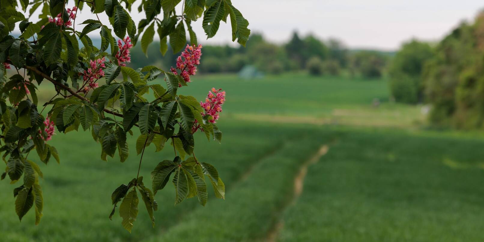 In Hessen liegen die Temperaturen zum Ende der Woche bei mehr als 20 Grad - doch es gibt auch Wolken und Regen. (Symbolbild) In Hessen liegen die Temperaturen zum Ende der Woche bei mehr als 20 Grad - doch es gibt auch Wolken und Regen. (Symbolbild)