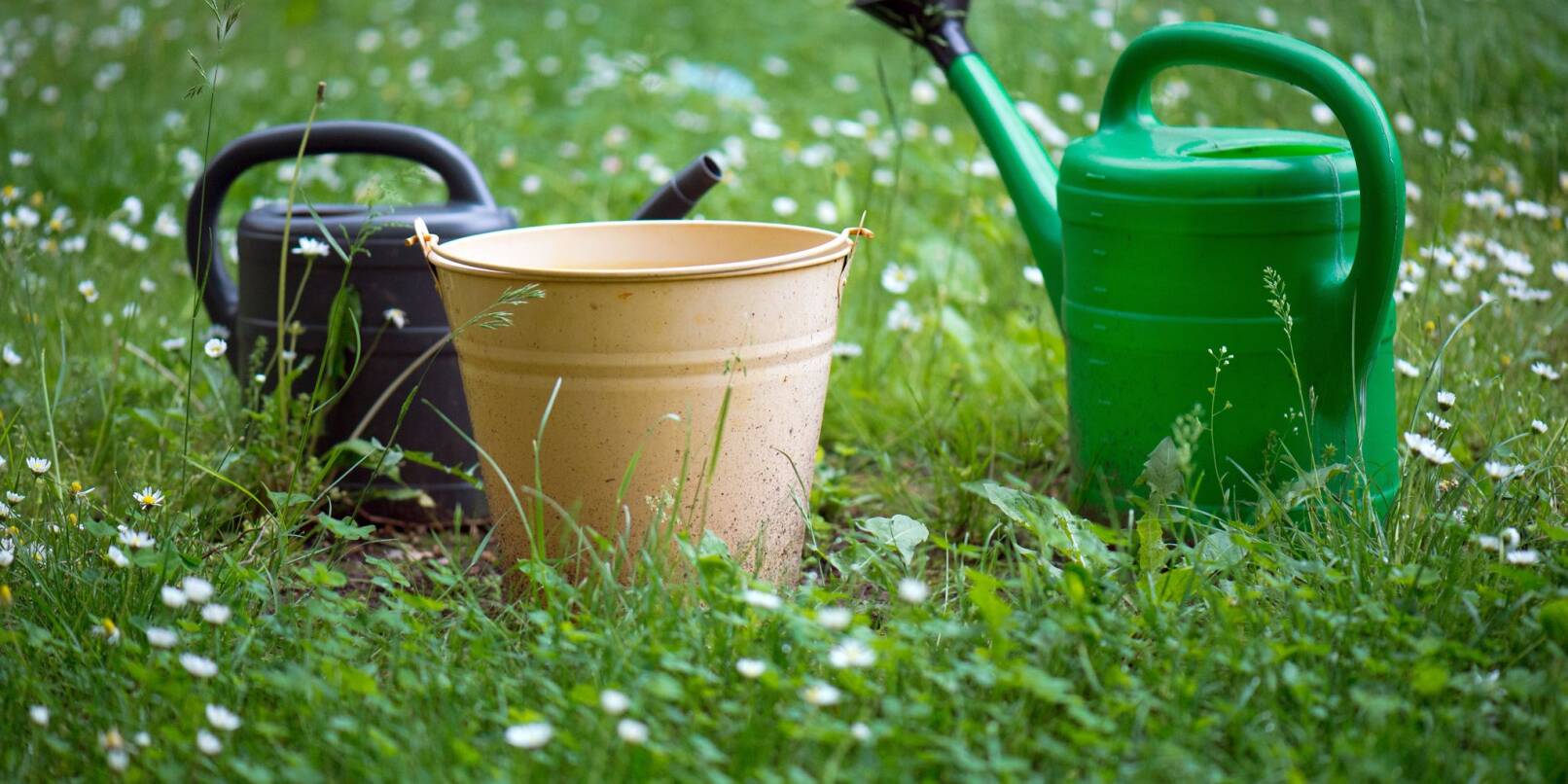 Das Wetter für die Gartenarbeit bleibt gut. Allerdings fehlt der Regen. (Symbolbild) Das Wetter für die Gartenarbeit bleibt gut. Allerdings fehlt der Regen. (Symbolbild)