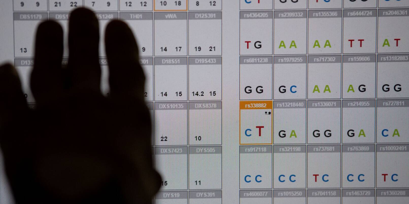 Das Ergebnis einer DNA-Sequenzanalyse im Labor des Bayerischen Landeskriminalamts (LKA). Bayern und Baden-Württemberg fordern eine Ausweitung der DNA-Analyse bei der Fahndung nach Straftätern. (Symbolbild) Das Ergebnis einer DNA-Sequenzanalyse im Labor des Bayerischen Landeskriminalamts (LKA). Bayern und Baden-Württemberg fordern eine Ausweitung der DNA-Analyse bei der Fahndung nach Straftätern. (Symbolbild)