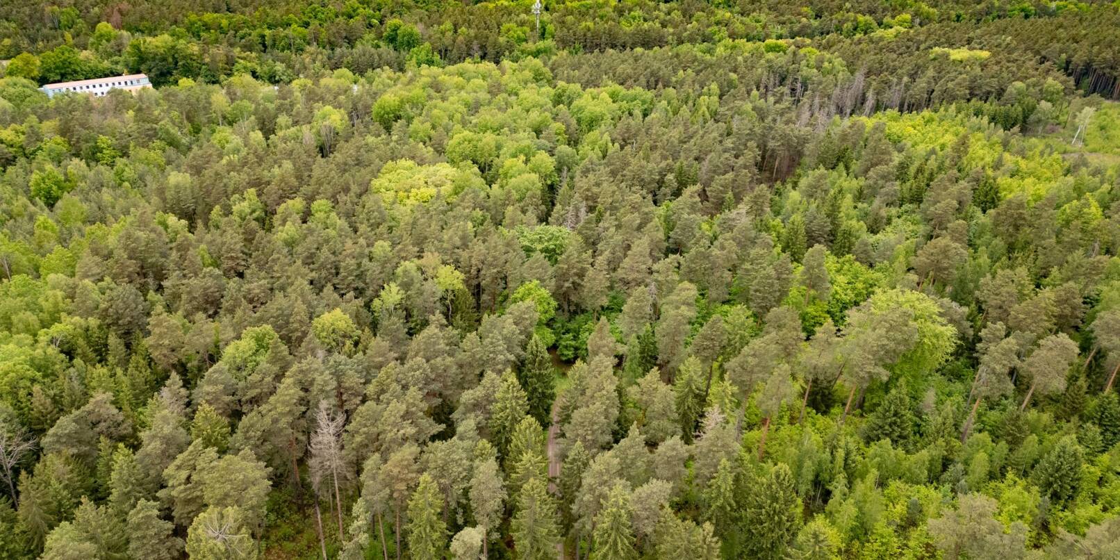 Tod einer 21-Jährigen im Wald - Ermittlungen gegen Jugendlichen wegen Totschlags Tod einer 21-Jährigen im Wald - Ermittlungen gegen Jugendlichen wegen Totschlags