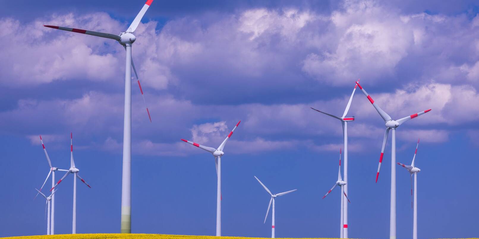 Windräder gelten als Symbol der Energiewende in Deutschland. Doch nicht überall treffen sie auf Akzeptanz. (Symbolbild) Windräder gelten als Symbol der Energiewende in Deutschland. Doch nicht überall treffen sie auf Akzeptanz. (Symbolbild)