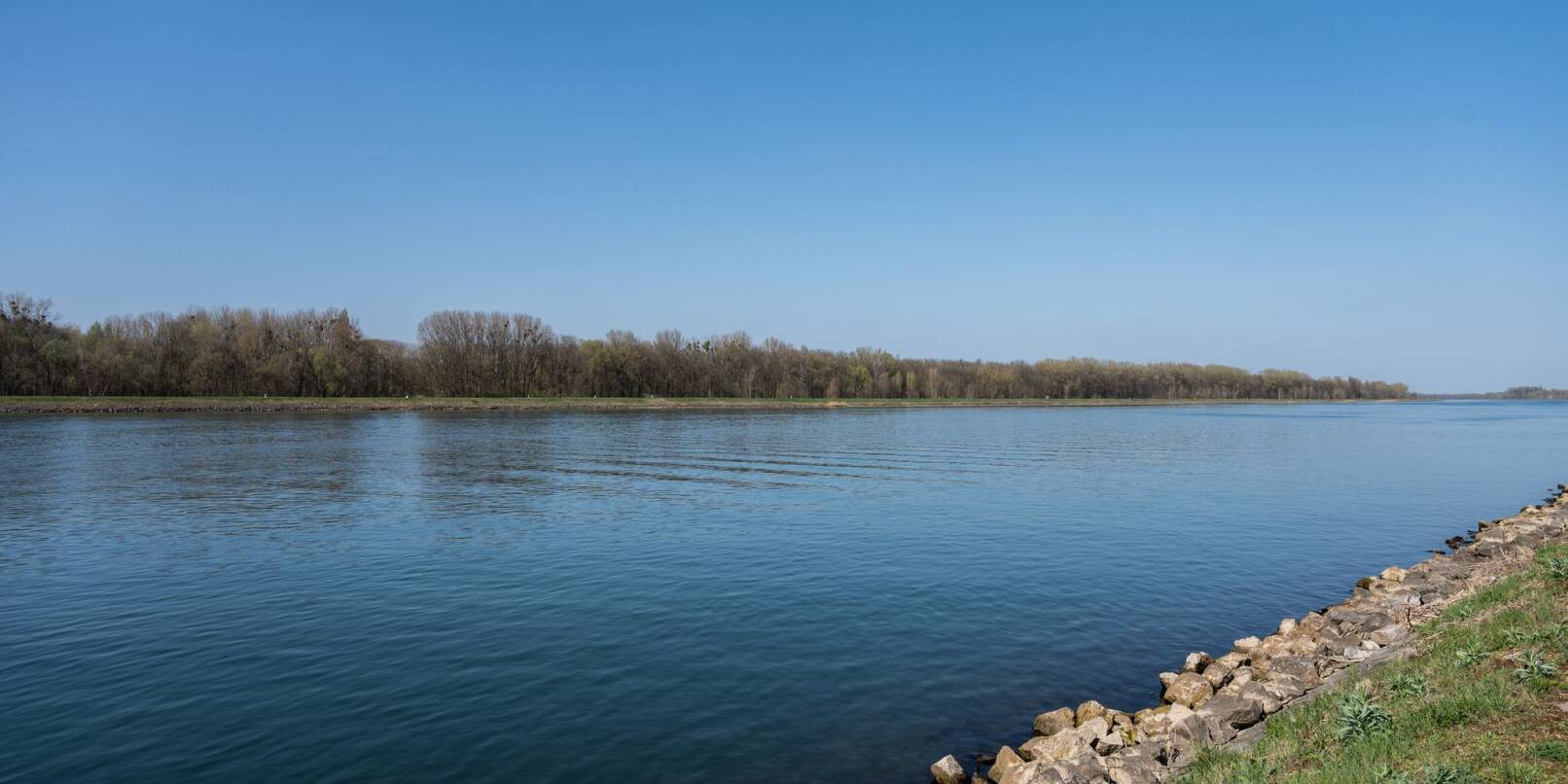 Ewigkeitschemikalie Trifluoracetat (TFA) verbreitet sich laut Wasserwerken weiter im Rhein. Ewigkeitschemikalie Trifluoracetat (TFA) verbreitet sich laut Wasserwerken weiter im Rhein.