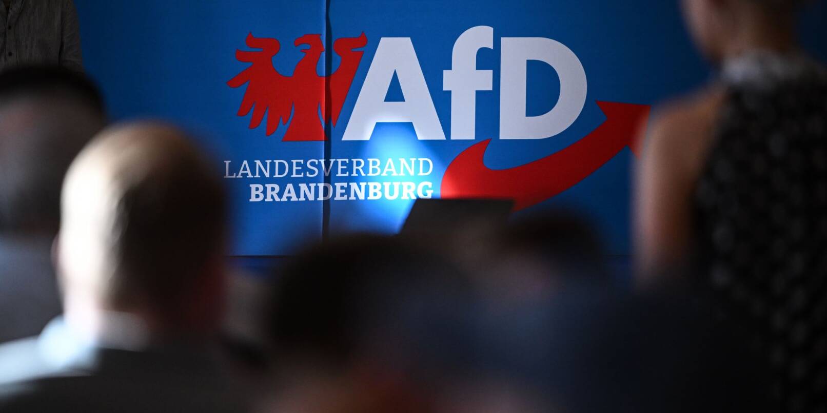 Die AfD in Brandenburg wehrt sich juristisch gegen ihre Hochstufung zur gesichert rechtsextremistischen Bestrebung. (Archivbild) Die AfD in Brandenburg wehrt sich juristisch gegen ihre Hochstufung zur gesichert rechtsextremistischen Bestrebung. (Archivbild)