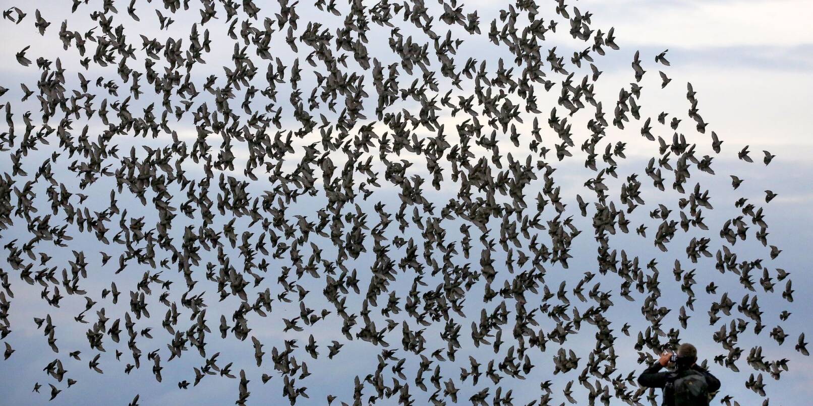 Die meisten Menschen halten sich an die Regeln in Naturschutzgebieten und fotografieren Tiere nur von Wegen und Aussichtspunkten aus. Die meisten Menschen halten sich an die Regeln in Naturschutzgebieten und fotografieren Tiere nur von Wegen und Aussichtspunkten aus.