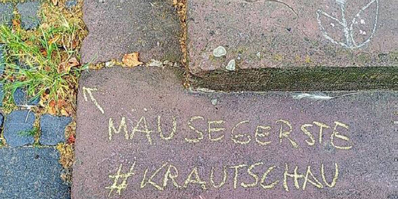 "Mäusegerste", ein wilder Verwandter unserer Gerste, ist ein Futtergras für Nutztiere. Wieder etwas gelernt, dank #krautschau. "Mäusegerste", ein wilder Verwandter unserer Gerste, ist ein Futtergras für Nutztiere. Wieder etwas gelernt, dank #krautschau.