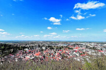 Der "Woinemer Rundweg" wird zum Weinheim-Marathon  Der "Woinemer Rundweg" wird zum Weinheim-Marathon