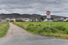 Hirschberger Neubaugebiet "Rennäcker": Gemeinderat gegen Bürgerbegehren Hirschberger Neubaugebiet "Rennäcker": Gemeinderat gegen Bürgerbegehren