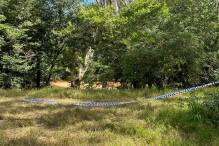 Australien: Menschliche Überreste in Krokodil gefunden
