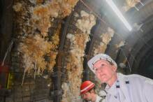Umweltministerin Lemke besucht Atommülllager Asse
