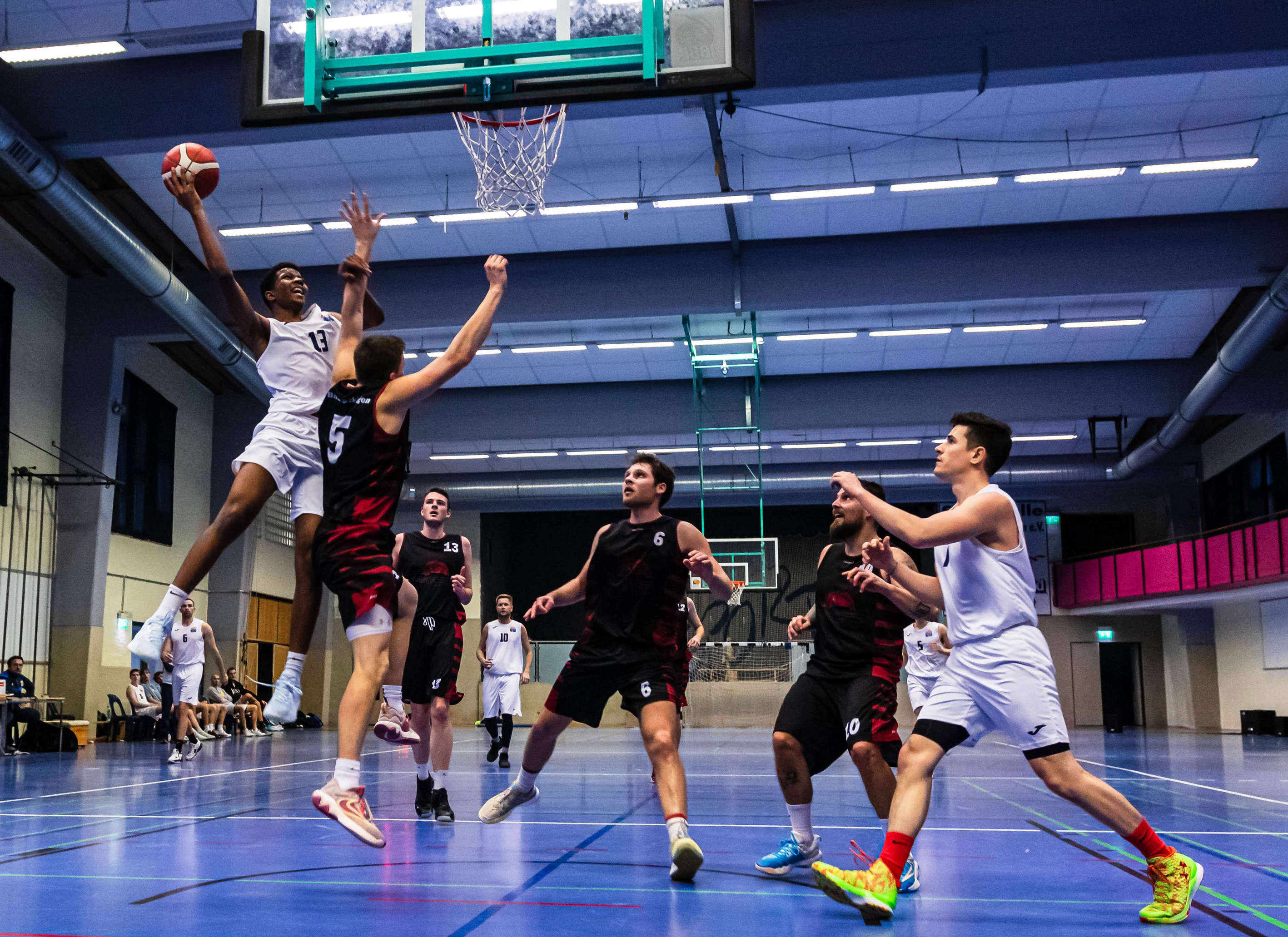 Coach Zimmermann will Sharks zu Profis machen