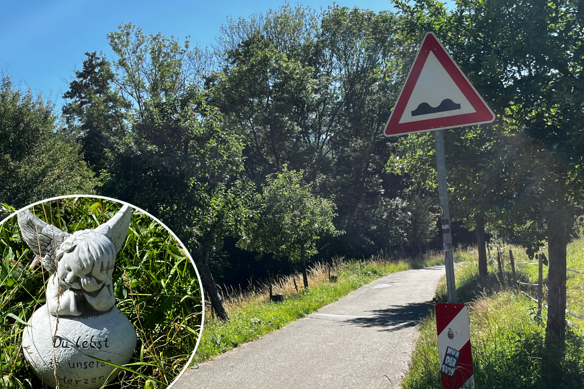 Tragedy in Weinheim district: 14-year-old dies after e-scooter accident