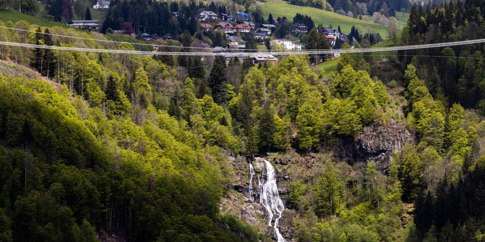 Eine Hängebrücke führt über ein Tal nahe Todtnauberg während darunter Wasser die Todtnauer Wasserfälle zu sehen sind.